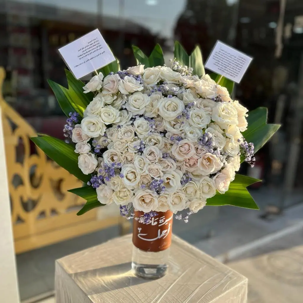 بيبي جوري ابي تنسيق فازة
