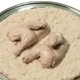 دجاج سليق