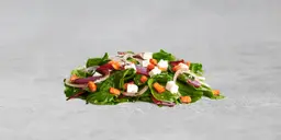 Black Beetroot