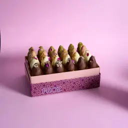 صندوق ميني كونو