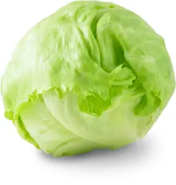 الخس الاسباني