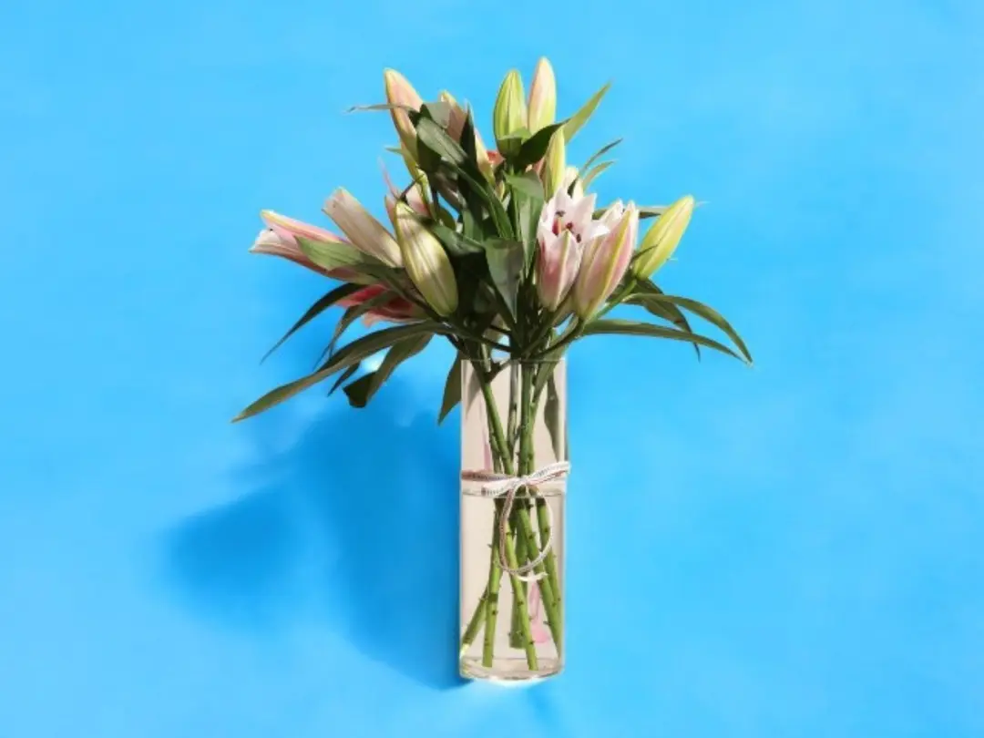 Lily Serenity Vase 0211