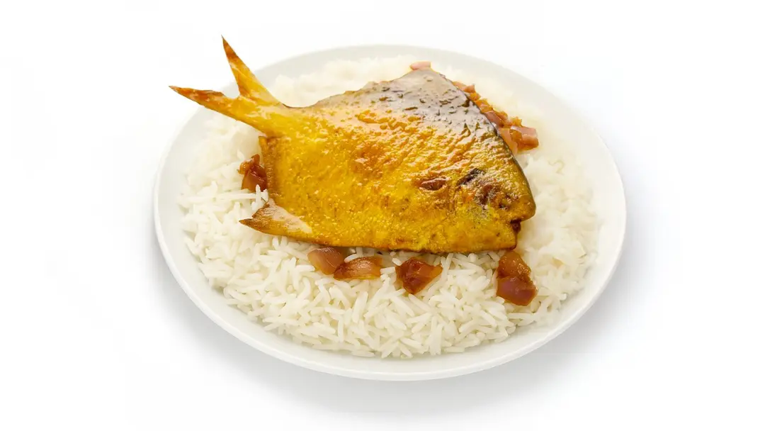 مطبق زبيدي