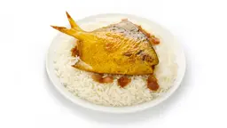 مطبق زبيدي