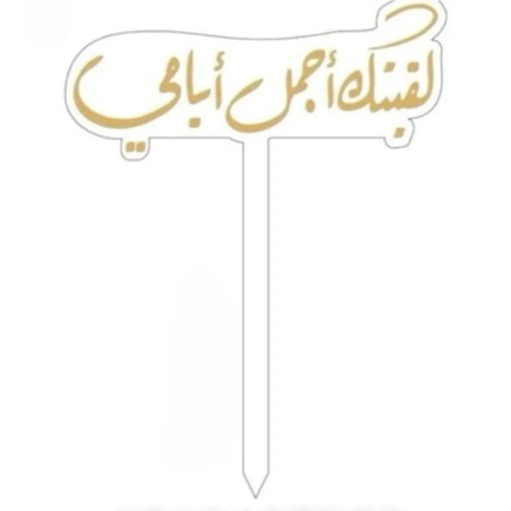 تغريسة لقيتك أجمل أيامي