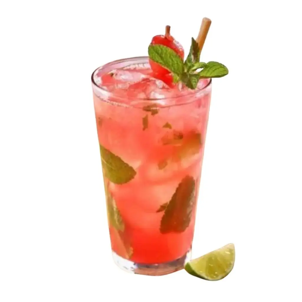 Watermelon Mojito