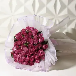 باقة الدبل كلر