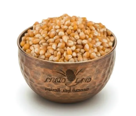 Popcorn R42