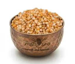 Popcorn R42