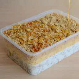 معصوب ملكي