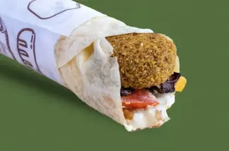 فلافل سبيشل