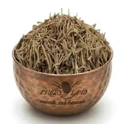 Rosemary R241