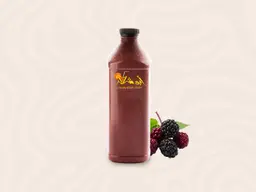 Fresh Levantine berry juice, family size