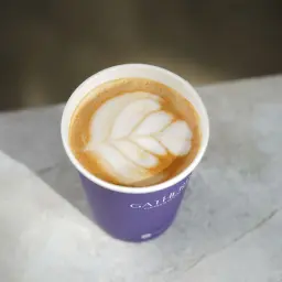 فلات وايت