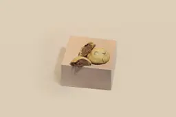 كوكيز