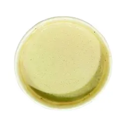Tahini