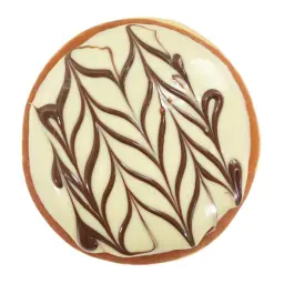 White Chocolate Filled with Chocolate
