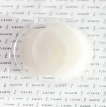 Onion Slices