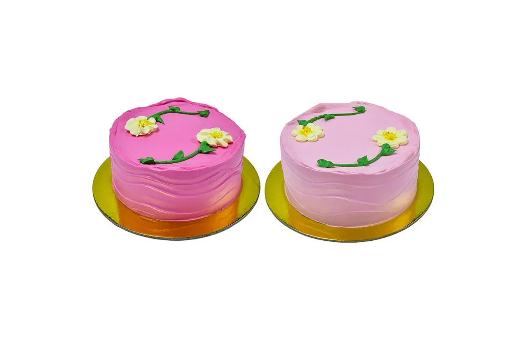 Bento Cake Chocolate