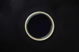 صلصة ترياكي