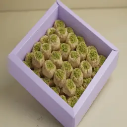 غريبة باريس