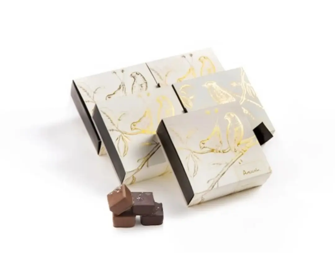 Anush Chocolate 2
