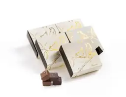 Anush Chocolate 2
