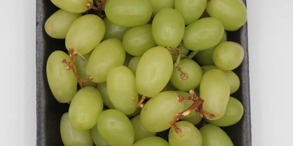 White grapes