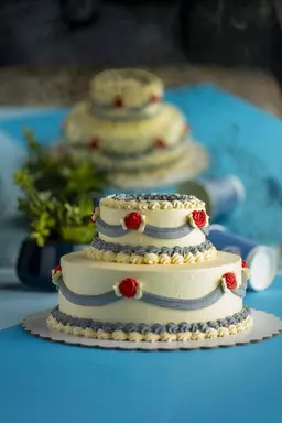 Classic Cake