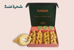 سمبوسة هندية لبنة نعناع