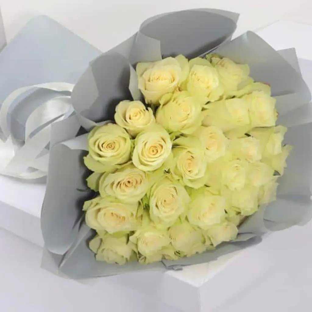 ايه 15