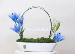 هدية مولود فخار