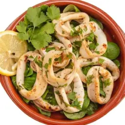 Calamari with Provencal Sauce