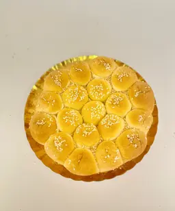 Plain bee hive