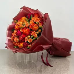 بوتاي 01