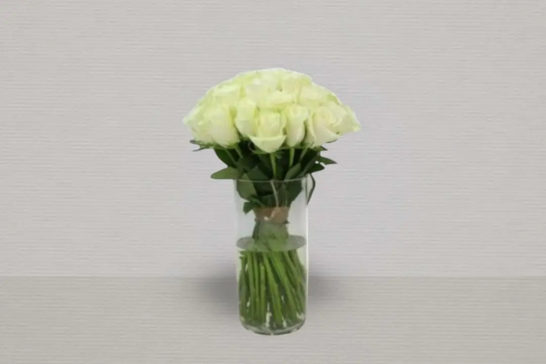 Vase with white roses