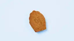 مادلين فستق