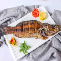 سمك ماكريل