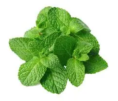 Mint