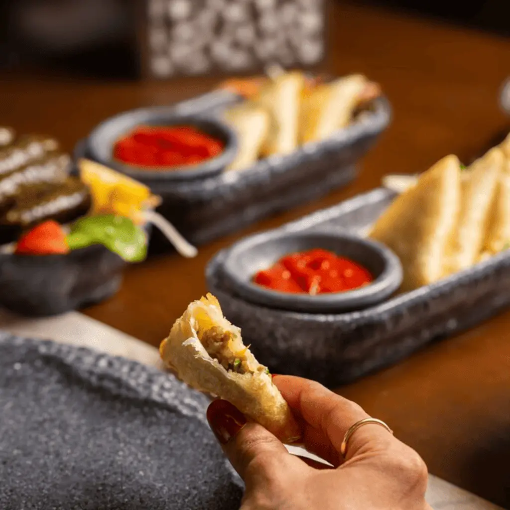 Meat Samosa