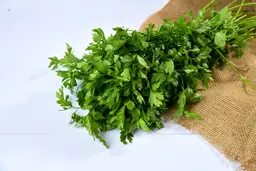 بقدونس بالرابطة