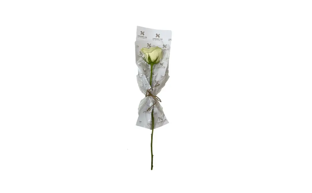 White rose
