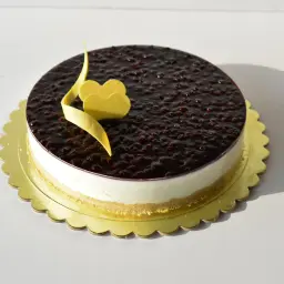 Mini Blueberry Cheesecake