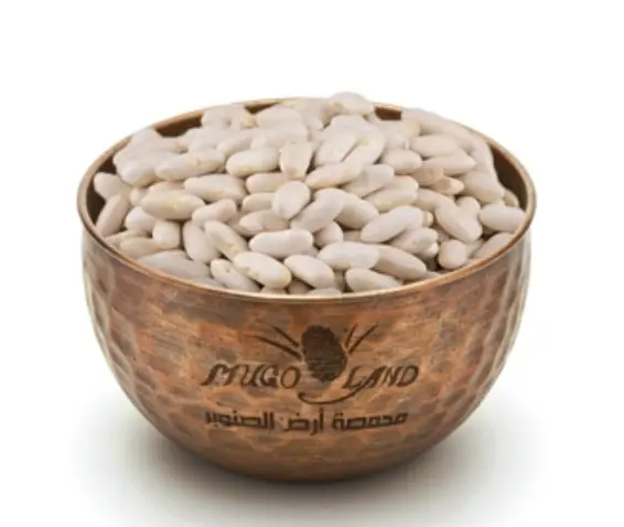Small White Beans R50