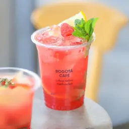 Raspberry Mojito