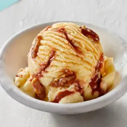 Ice Cream Scoop