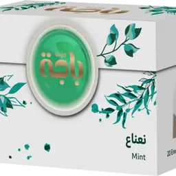 Mint 20 bag