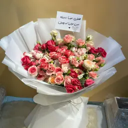 Mixed Baby Rose
