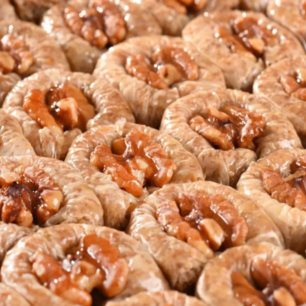 جوزلي بلبل
