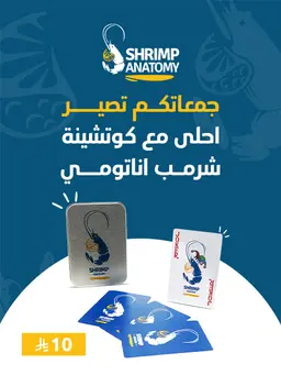 الكوتشينة